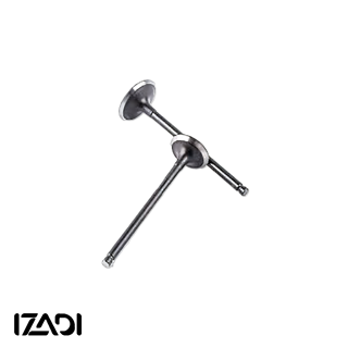 سوپاپ هوا X33 Cross - 110S - X22 - X22 Pro کد فنی 371-1007011